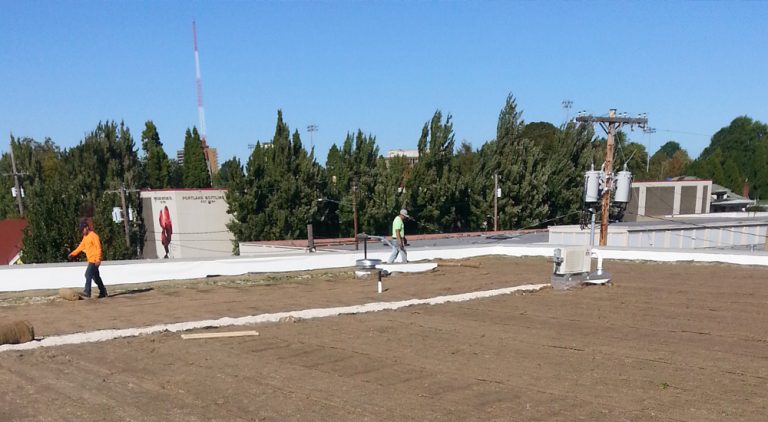 Read more about the article Portland Rock Gym Stormwater Facility and Ecoroof