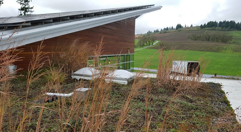 Read more about the article Stoller Winery Tasting Room