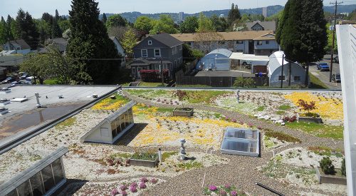 Buckman Neighborhood Ecoroof as Living Space