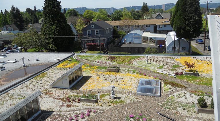 Read more about the article Buckman Neighborhood Ecoroof as Living Space
