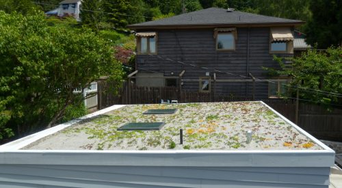 Hillsdale Garage Addition and Ecoroof