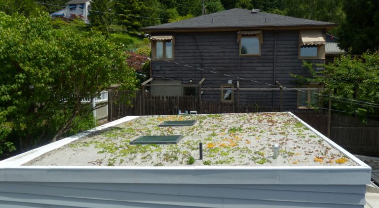 Read more about the article Hillsdale Garage Addition and Ecoroof