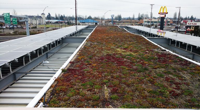 Read more about the article Woodburn Chevron