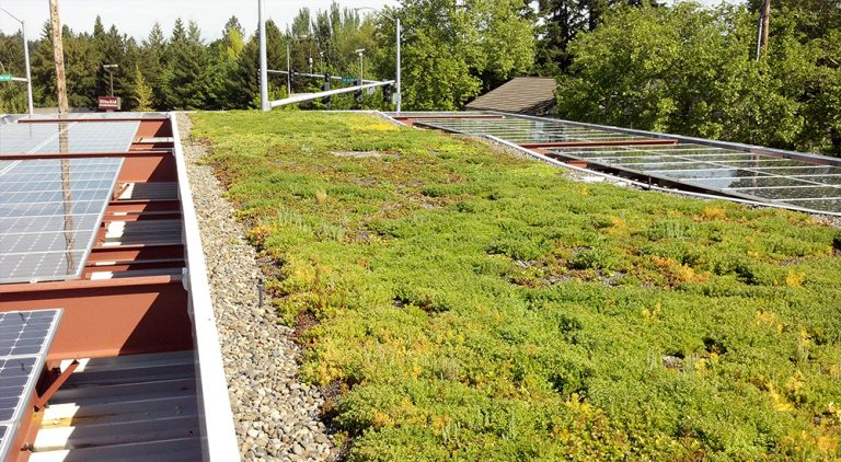 Read more about the article ExtraMile Gas Station Ecoroof and Solar