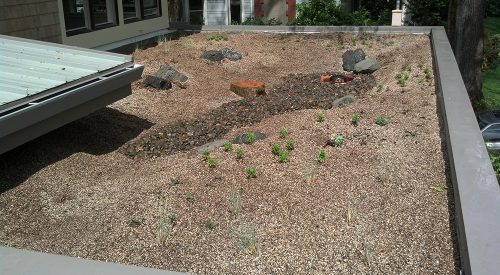 Mt Tabor Ecoroof and Garden