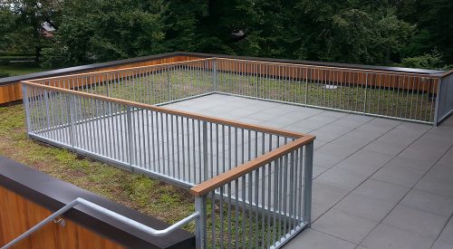 Lewis & Clark College Patio + Ecoroof
