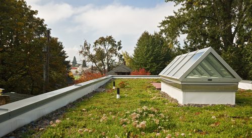 SE Portland Infill Rooftop Patio and Ecoroof