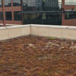 Northwest Philanthropy Ecoroof Maintenance