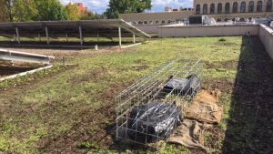 gabion to compost weeds portland oregon