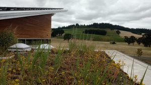 stoller winery eco roof
